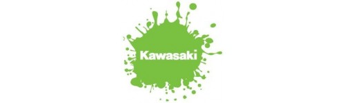 Tazas Kawasaki